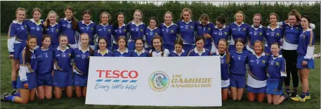  ??  ?? The Coláiste Bhríde (Carnew) squad before their All-Ireland final defeat.