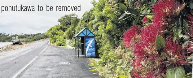  ?? PHOTO: GERARD O’BRIEN ?? On the move . . . A bus shelter will be moved as part of roading changes on
the way in Broad Bay, Dunedin, but pohutukawa trees will need to be removed.