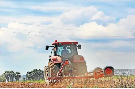  ?? M. G. ?? Un agricultor prepara la tierra para las siembras.