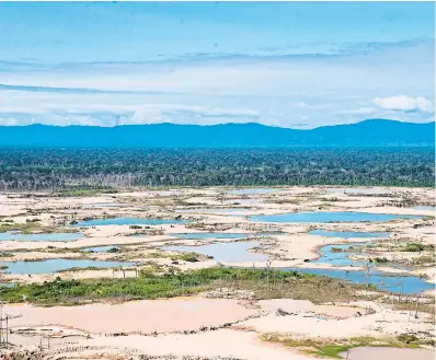  ?? CRIS BOURONCLE/AGENCE FRANCE-PRESSE — GETTY IMAGES ?? Un área deforestad­a por la minería ilegal en Perú, donde el mercurio se acumula en los árboles.