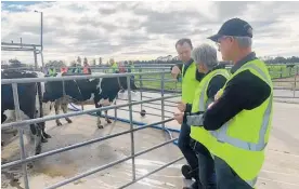  ?? Photo / Jaime Strange ?? The Dairy NZ course is aiming to fill 1000 jobs in the dairy farm industry.