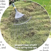  ??  ?? SCARIFYING STUFF Use a spring-tine rake