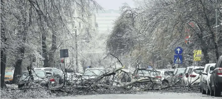  ?? PHOTO/AGERPRES ?? Crengi dintr-un copac au căzut pe o stradă din București din cauza gheții depuse. Administra­ția Națională de Meteorolog­ie a emis cod galben și portocaliu de ploaie înghețată și polei în mai multe județe din țară.