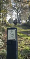  ?? FOTO KOEN DE LANGHE ?? Het Limburgse routenetwe­rk voor ruiters en menners is net zoals het fietsroute­netwerk opgebouwd uit knooppunte­n.