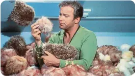  ??  ?? The trouble with tribbles is that they turn even the toughest starship captains into piles of mush.