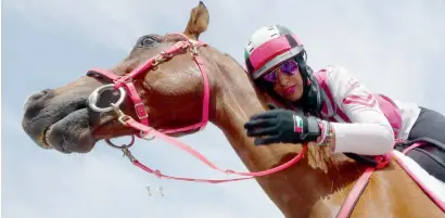  ?? Photos by Leslie Pableo ?? A Pink Caravan rider hugs her horse as volunteers reached Umm Al Quwain on Sunday. According to a top official, the pan-UAE campaign has successful­ly busted myths and taboo associated with breast cancer. —