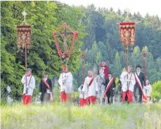  ?? ARCHIVFOTO: OLLI ?? Bereits im vergangene­n Jahr ritt eine ganz kleine Abordnung eine Runde über Köpfingen. Der Dekan sprach damals vom „Blutrittle“.