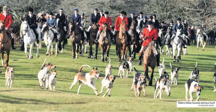  ?? ATHWENNA IRONS ?? Riders follow hounds during a hunt