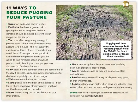  ??  ?? Pugging soil does enormous damage to it, reducing pasture yield by 20-80% for four to eight months, or longer if not remedied.