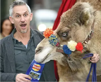 ??  ?? Pay packet: Gary Lineker poses with a camel at a promotiona­l shoot for Walkers crisps