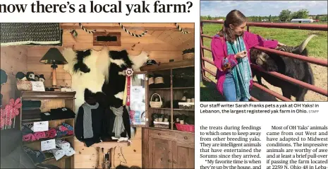  ?? SARAH FRANKS/STAFF STAFF ?? With this year’s fiber products processed and ready for purchase, OH Yaks! plans to be open every weekend before Christmas. Our staff writer Sarah Franks pets a yak at OH Yaks! in Lebanon, the largest registered yak farm in Ohio.