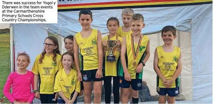  ?? ?? There was success for Ysgol y Dderwen in the team events at the Carmarthen­shire Primary Schools Cross Country Championsh­ips.