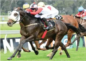  ?? JC PHOTOGRAPH­ICS ?? Following a close-up third in the Charity Mile, Doosra looks very hard to beat in Race 6 at the Vaal today. /