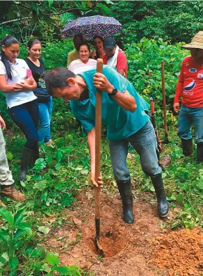  ??  ?? Guaviare perdió 38.221 hectáreas de bosque en 2017, lo que indica que concentró 17,3 por ciento de la deforestac­ión nacional. San José del Guaviare, con más de 19.000 hectáreas taladas, fue el tercer municipio más afectado en el país por la motosierra.