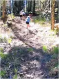  ?? COURTESY OF ALISON FORRESTER ?? Alison Forrester of Albuquerqu­e climbs one of the killer hills on the trail of the Valles Caldera Runs.