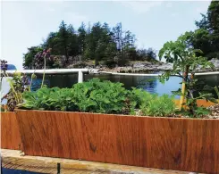  ??  ?? The author (top) and her green onions, at home in the Gulf Islands. While the onboard garden did grow, the plants remained microsize (right).