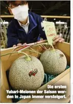  ??  ?? Die ersten Yubari-Melonen der Saison werden in Japan immer versteiger­t.