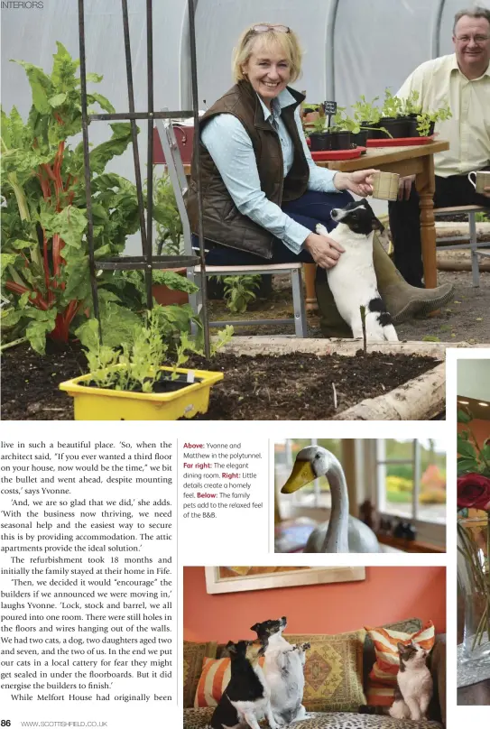  ??  ?? Above: Yvonne and Matthew in the polytunnel. Far right: The elegant dining room. Right: Little details create a homely feel. Below: The family pets add to the relaxed feel of the B&amp;B.