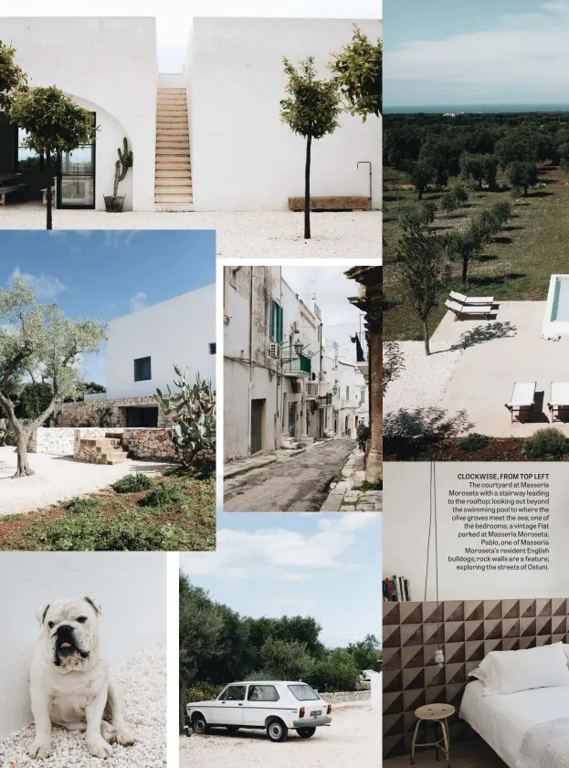  ??  ?? CLOCKWISE, FROM TOP LEFT The courtyard at Masseria Moroseta with a stairway leading to the rooftop; looking out beyond the swimming pool to where the olive groves meet the sea; one of the bedrooms; a vintage Fiat parked at Masseria Moroseta; Pablo, one of Masseria Moroseta’s resident English bulldogs; rock walls are a feature; exploring the streets of Ostuni.