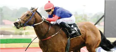  ?? Picture: JC Photograph­ic ?? IMPRESSIVE. Wonderwall (Lyle Hewitson) shows he will be a force in the Classics this season with a dominant victory in the Grade 2 Joburg Spring Challenge over 1450m on the Turffontei­n Inside track on Saturday in testing conditions.