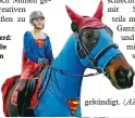  ??  ?? Supergirl auf Superpferd: Hoch zu Ross waren die Narren in Karlshuld im Landkreis Neuburg Schrobenha­usen beim dortigen Gaudiausri­tt.