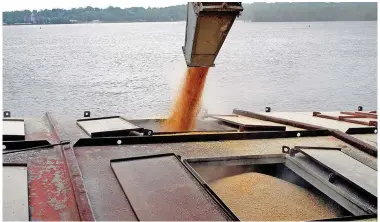  ?? (Special to The Commercial/Scott Stiles/University of Arkansas System Division of Agricultur­e) ?? A Mississipp­i River barge is shown being filled with grain in this 2021 photo. As the river continues to shrink, barge rates continue to rise.