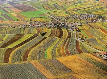  ??  ?? Políčka a pole Menší půdní celky jsou ke krajině šetrnější. Remízky, polní meze i cesty, které je oddělují, mají totiž ekologický význam, protože jsou domovem mnoha živočichů a chrání půdu před erozí. Snímek je součástí výstavy Voda a civilizace.