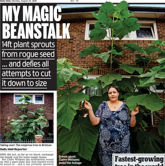  ??  ?? Green giant: Claire Williams amid the foliage