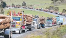  ??  ?? LOG TRUCKS: Forestry has been the focus of protest action.