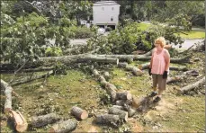  ??  ?? Kathy Howland looks over the task ahead as she and her husband, Pat Notarnicol­a, work to remove a downed tree in her yard in Trumbull on Friday.