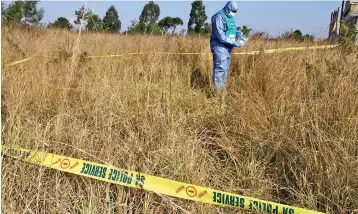  ?? ?? A member of the police’s forensic team combs through a crime scene to gather evidence.