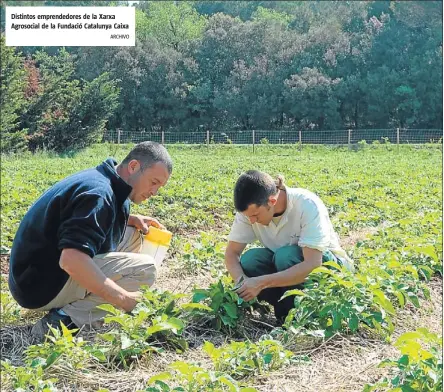  ?? ARCHIVO ?? Distintos emprendedo­res de la Xarxa Agrosocial de la Fundació Catalunya Caixa