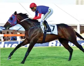  ?? Picture: JC Photograph­ics ?? FEATURE DOUBLE: Shango gave the combinatio­n of Sean Tarry and Gavin Lerena a quick Grade 2 double when he won the TAB/Betting World Dingaans over 1600m at Turffontei­n on Saturday.