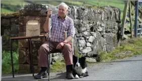  ?? Photo by Domnick Walsh ?? Denis Healy and his collie Shadow taking five during the bustle of the Camp Sheep Fair on Monday.