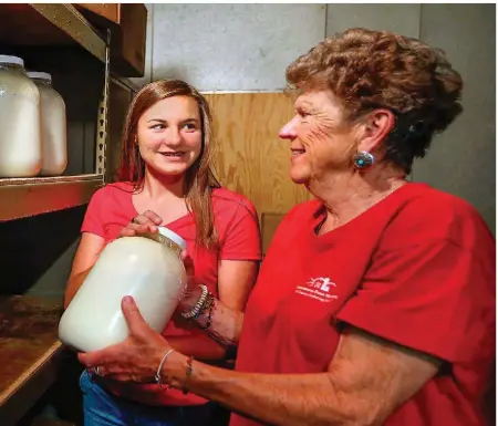  ??  ?? After taking over the farm, Kitty Hockman-Nicholas brought Jerseys into the fold (right, heading to the milking parlor). Above, Kitty and her granddaugh­ter, Meghan Triplett, place fresh raw milk in the cooler.