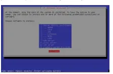  ??  ?? This is the minimal Debian collection set we started with. The installati­on took up just over a gigabyte.