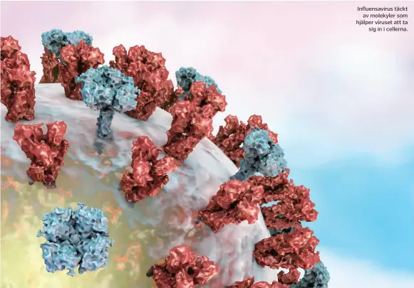  ??  ?? Influensav­irus täckt av molekyler som hjälper viruset att ta sig in i cellerna.