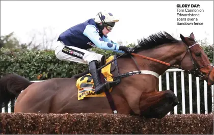  ?? ?? GLORY DAY: Tom Cannon on Edwardston­e soars over a Sandown fence