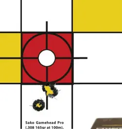  ??  ?? Sako Gamehead Pro (.308 165gr at 100m). Hole at bottom fired from cold bore.