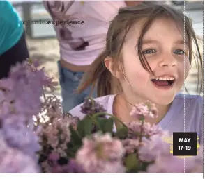  ?? MORGAN TIMMS ?? MAY 17-19 Excitement takes over looking toward the Taos Lilac Festival grounds at Kit Carson Park in 2018. Due to park upgrades, this year's event will be held along Civic Plaza Drive.
