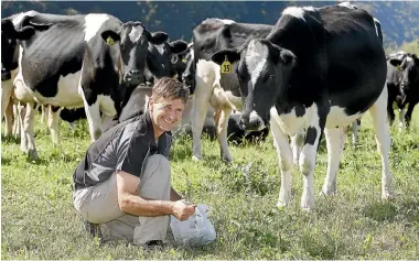  ??  ?? Testing pasture regularly for facial eczema spores, above left, and the appropriat­e treatment can prevent the debilitati­ng effects of the spores, above right.