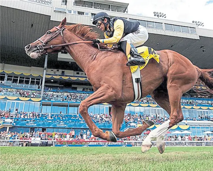  ??  ?? El Messi alemán corrió en tres países y logró la mejor de sus seis victorias en Woodbine, Canadá, en 2016; lo montó el peruano Edgar Prado, una celebridad