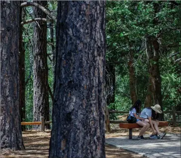  ?? PHOTOS BY TERRY PIERSON — STAFF PHOTOGRAPH­ER ?? Hikers take a break after hiking the Sequoia Trail at Heaps Peak Arboretum on Rim of The World Highway in the San Bernardino Mountains near Crestline on July 14. The trail stretches for nearly a mile and has views of many trees.