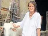  ??  ?? Germannati­onal Friederike Irina Bruning takes care of roughly 1,200 cows and calves, in Radha Kund, Mathura. PTI PHOTO