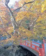  ??  ?? Kondo Hall. Konpon Daito, or The Great Fundamenta­l Pagoda. The orange bridge in the cemetery.