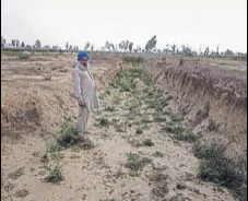  ?? HT FILE ?? Panchayat land at Janer village in Faridkot where sand mining has left the landscape scarred.