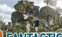  ?? DISNEY PHOTO BY MATT STROSHANE ?? Enter the fantasy: Floating mountains grace the sky while exotic plants fill the colorful landscape inside Pandora — The World of Avatar at Disney’s Animal Kingdom.