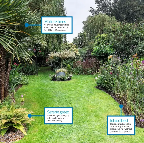  ??  ?? Mature trees Serene green Island bed
Cordylines have matured into trees. They can reach about 8m (26ft) in 20 years or so
Green foliage is a unifying colour, with ferns, acers and trees aplenty
This colourful bed lies in the centre of the lawn, breaking up the swathe of green with lots of colour