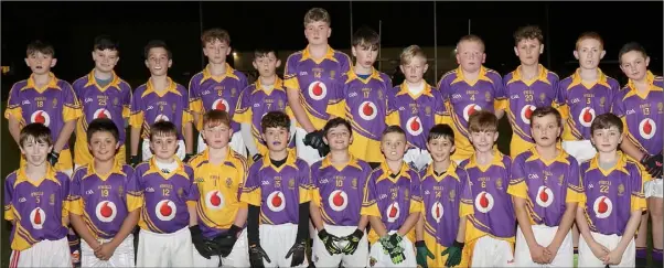  ??  ?? The vanquished squad from Wexford C.B.S.