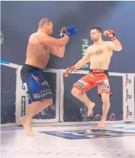  ?? ?? Szymon Kołecki stoczył w MMA 11 walk. Dziesięć z nich wygrał, w tym dziewięć przed czasem.